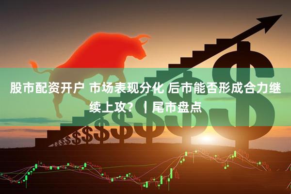 股市配资开户 市场表现分化 后市能否形成合力继续上攻？｜尾市盘点