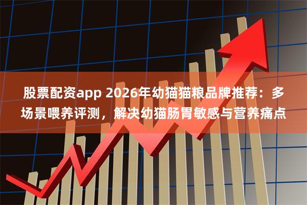 股票配资app 2026年幼猫猫粮品牌推荐：多场景喂养评测，解决幼猫肠胃敏感与营养痛点
